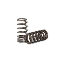 Kelford Cams Barra BA-FGX Valve Spring Set