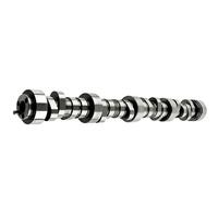 LS High Performance Camshaft 480